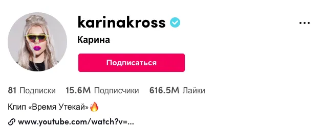 Верифицированный аккаунт в ТикТок