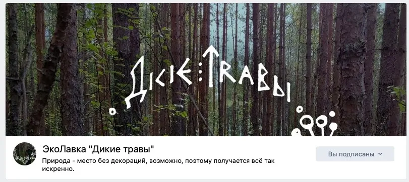 Обложка группы ВК эко-лавка