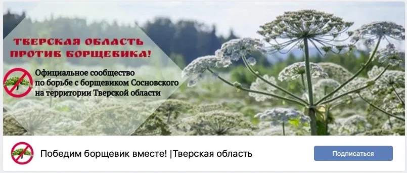 Обложка группы ВК Борьба с борщевиком