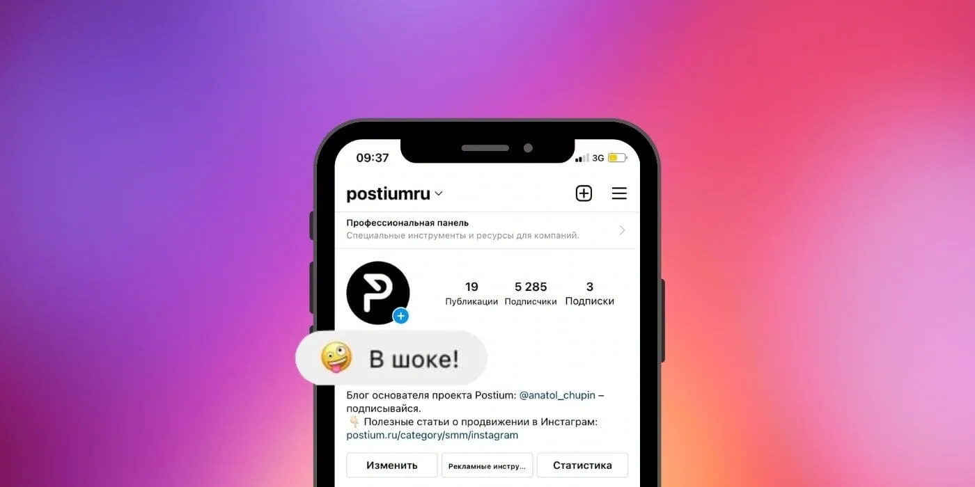 статус в профиле Инстаграм 1